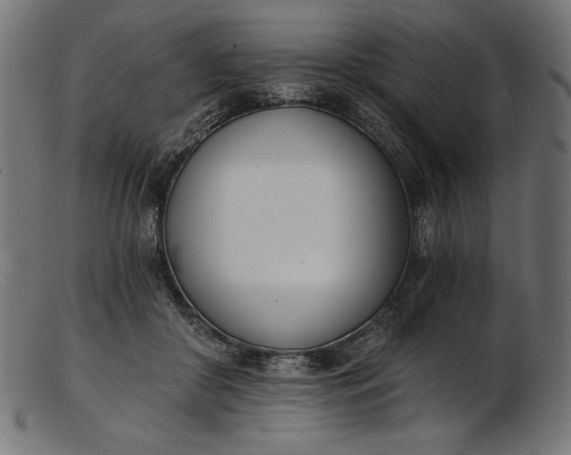 X0000103230410200809111534