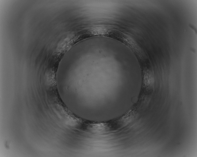 X0000103230411200809111534