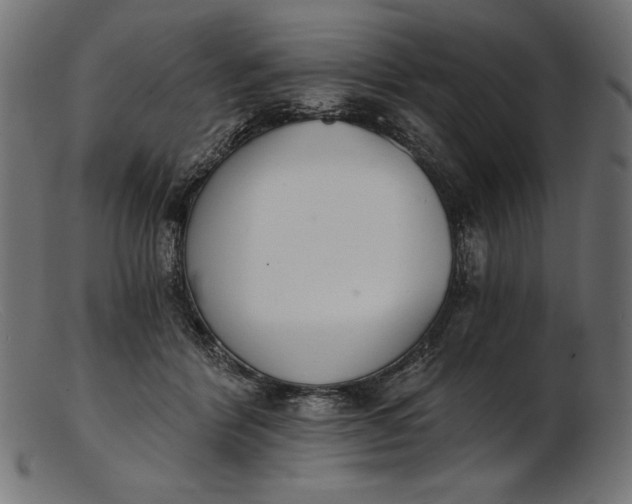 X0000103230412200809111534