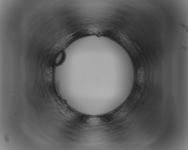 X0000103230413200809111534