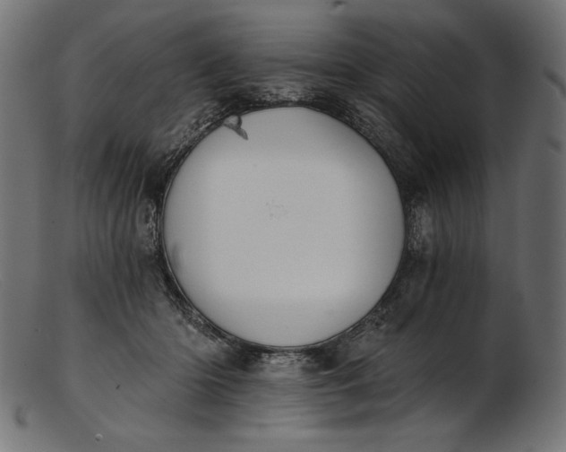 X0000103230414200809111534