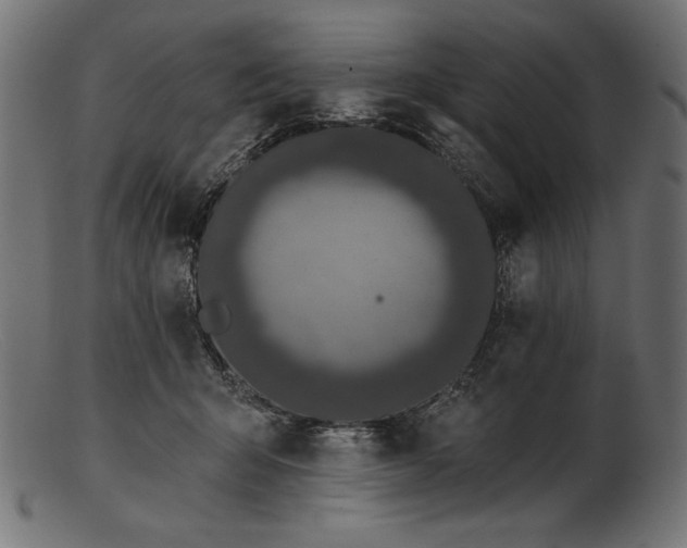 X0000103230415200809111534