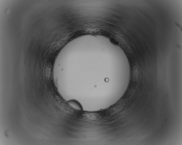 X0000103230417200809111534
