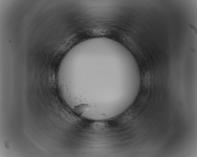 X0000103230418200809111534