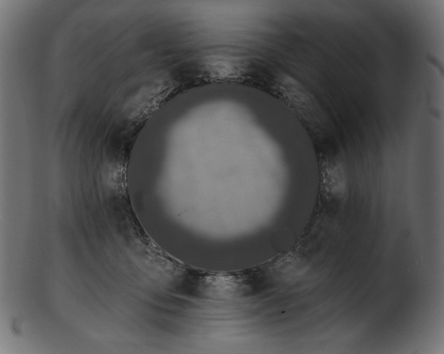 X0000103230419200809111534