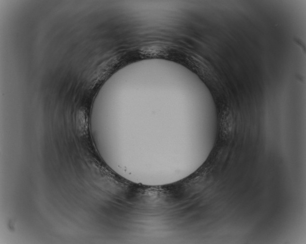 X0000103230420200809111534