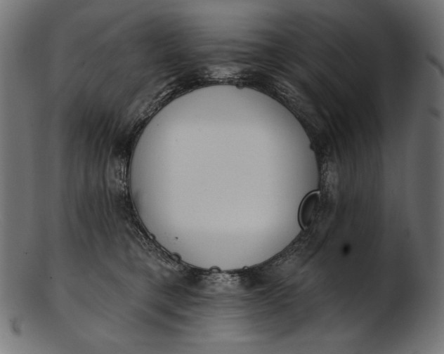 X0000103230421200809111534