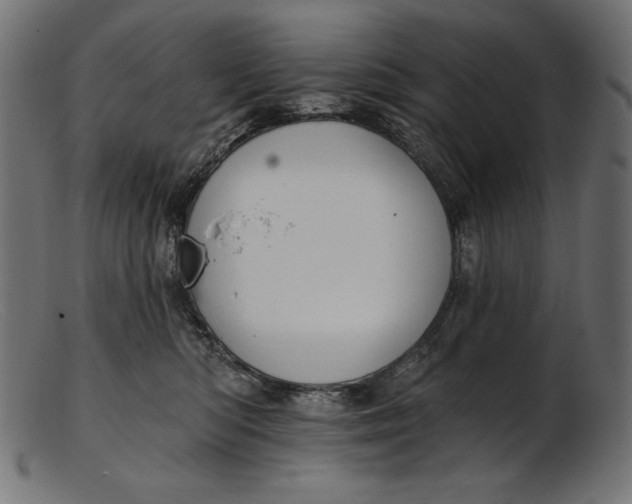 X0000103230422200809111534