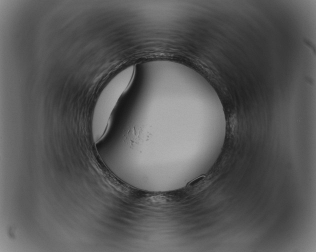 X0000103230423200809111534