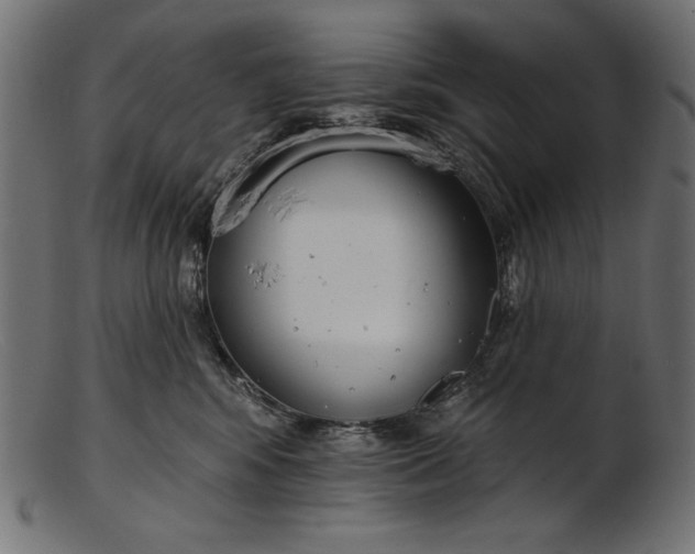 X0000103230424200809111534