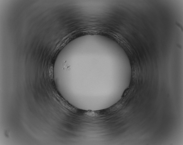 X0000103230425200809111534