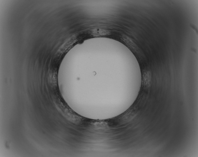 X0000103230426200809111534