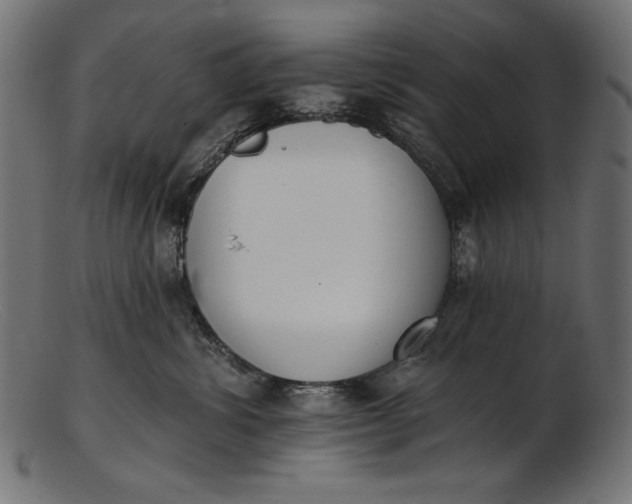 X0000103230428200809111534