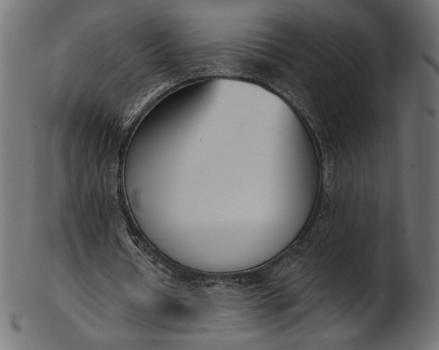 X0000103230434200809111533