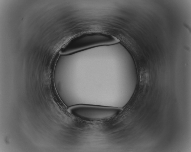 X0000103230436200809111533