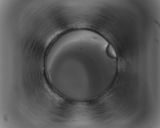 X0000103230438200809111533