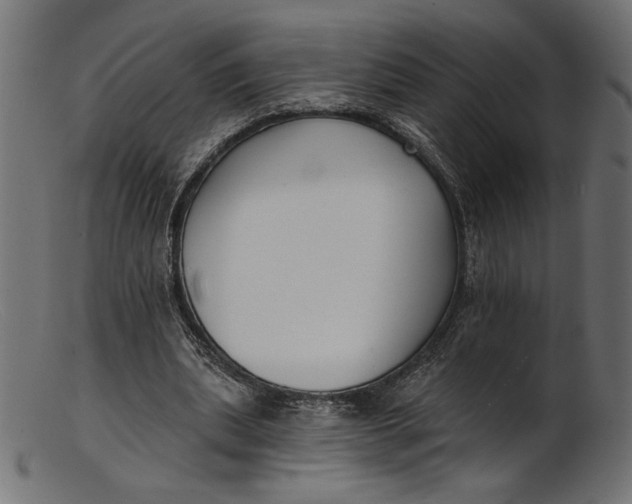X0000103230439200809111533