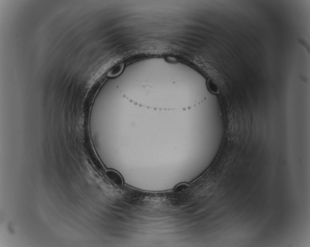 X0000103230440200809111533