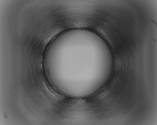 X0000103230443200809111533