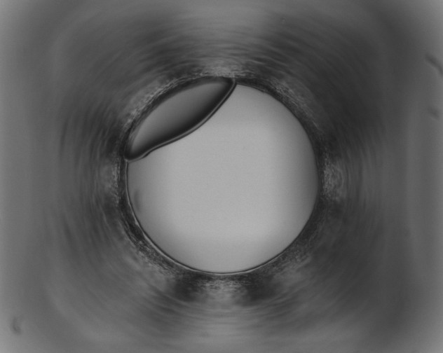 X0000103230444200809111533