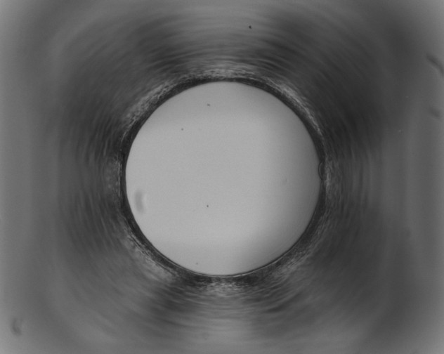X0000103230445200809111533