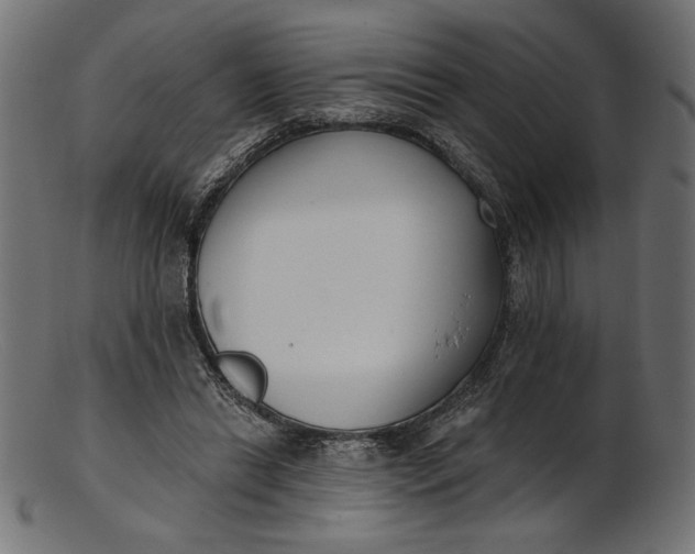 X0000103230446200809111533
