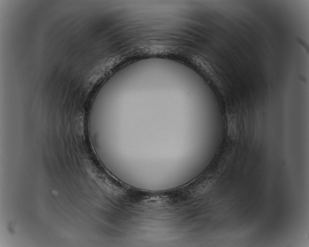 X0000103230447200809111533