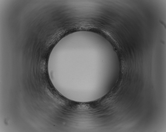 X0000103230451200809111533