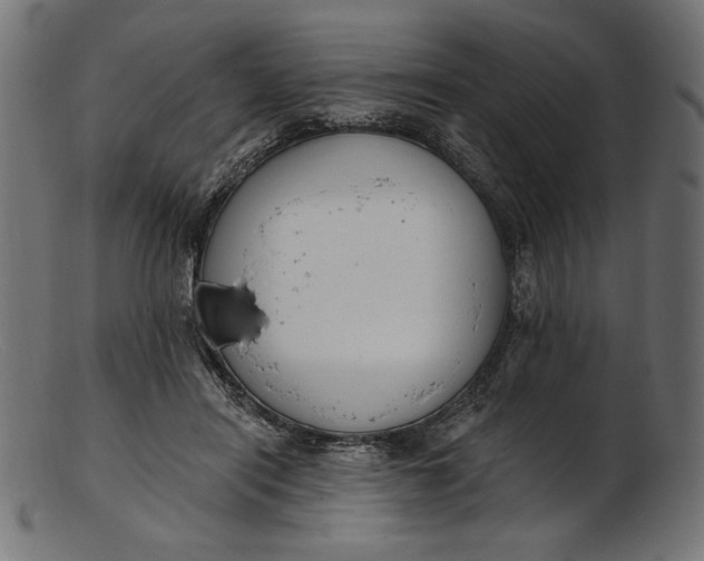 X0000103230454200809111533