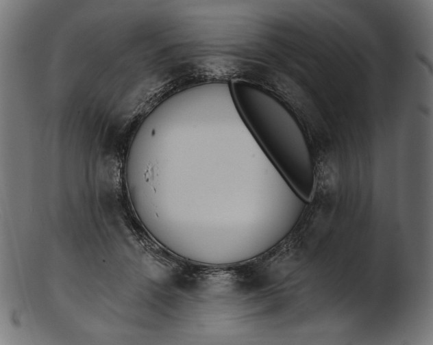 X0000103230456200809111533