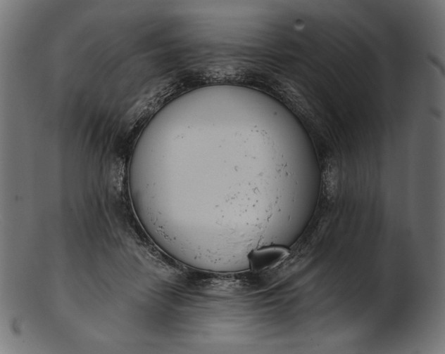 X0000103230458200809111533
