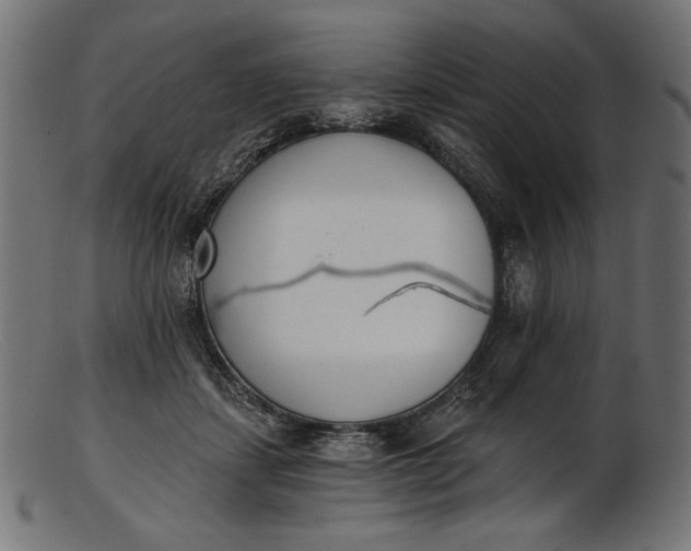 X0000103230459200809111533