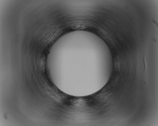 X0000103230460200809111533