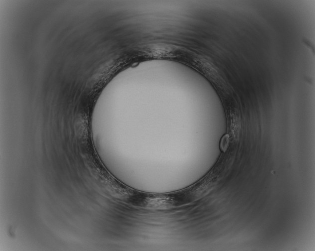 X0000103230461200809111533