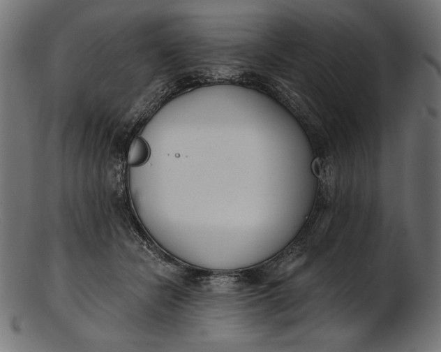 X0000103230462200809111533