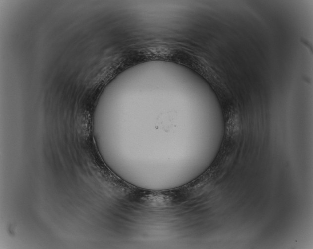 X0000103230464200809111533