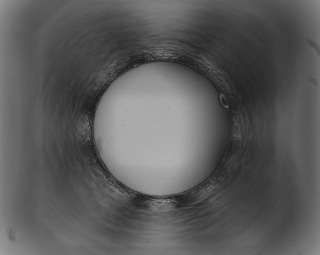 X0000103230465200809111533