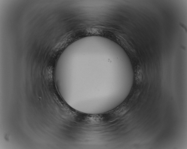 X0000103230466200809111533