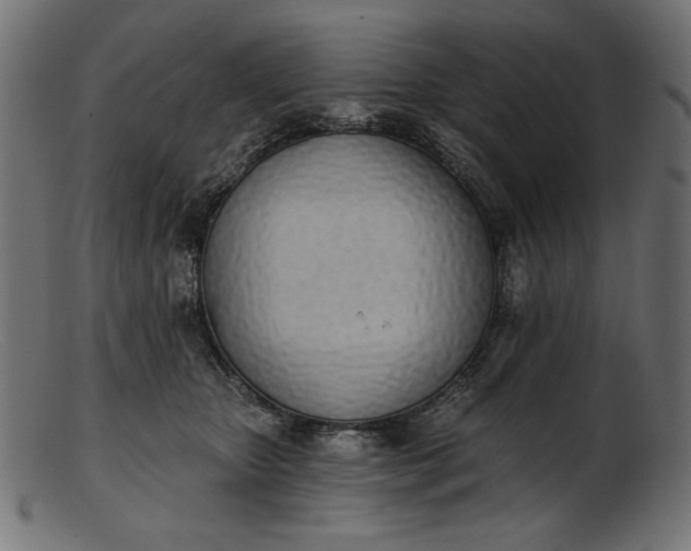 X0000103230467200809111533