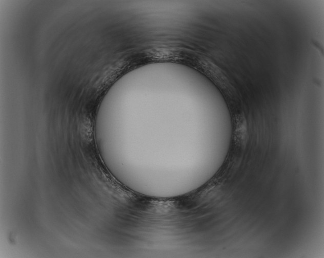 X0000103230469200809111534