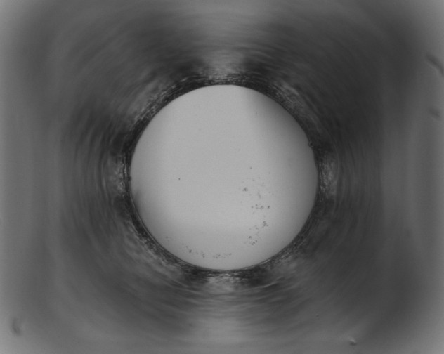 X0000103230470200809111534