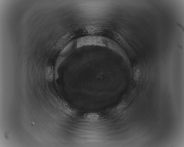 X0000103230471200809111534