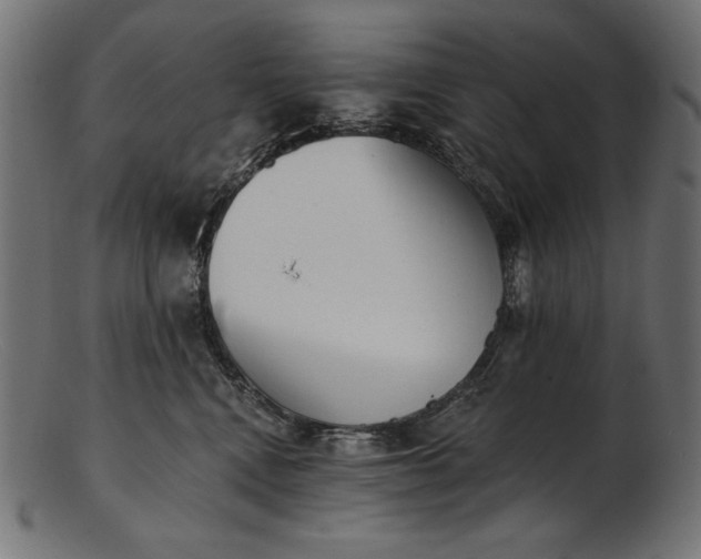 X0000103230472200809111534