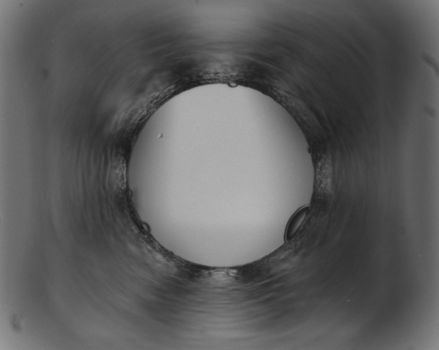 X0000103230474200809111534