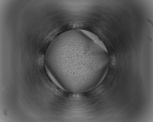 X0000103230475200809111534