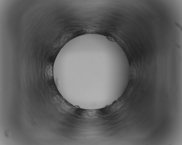 X0000103230479200809111534