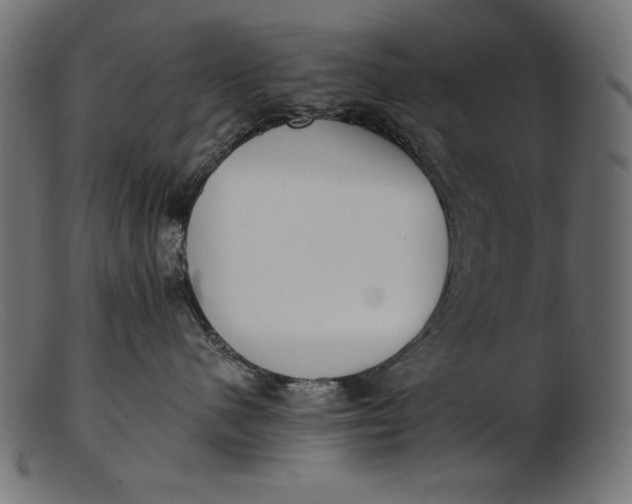 X0000103230480200809111534