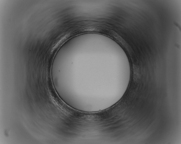 X0000103230482200809111533