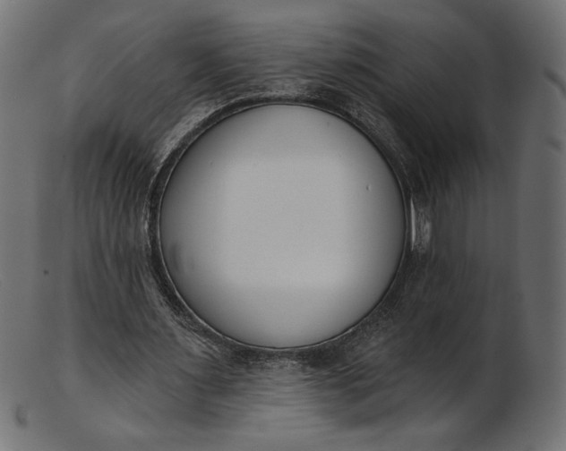 X0000103230483200809111533