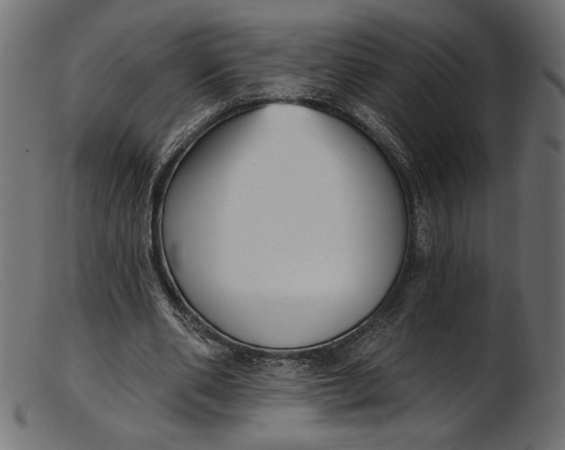 X0000103230486200809111533